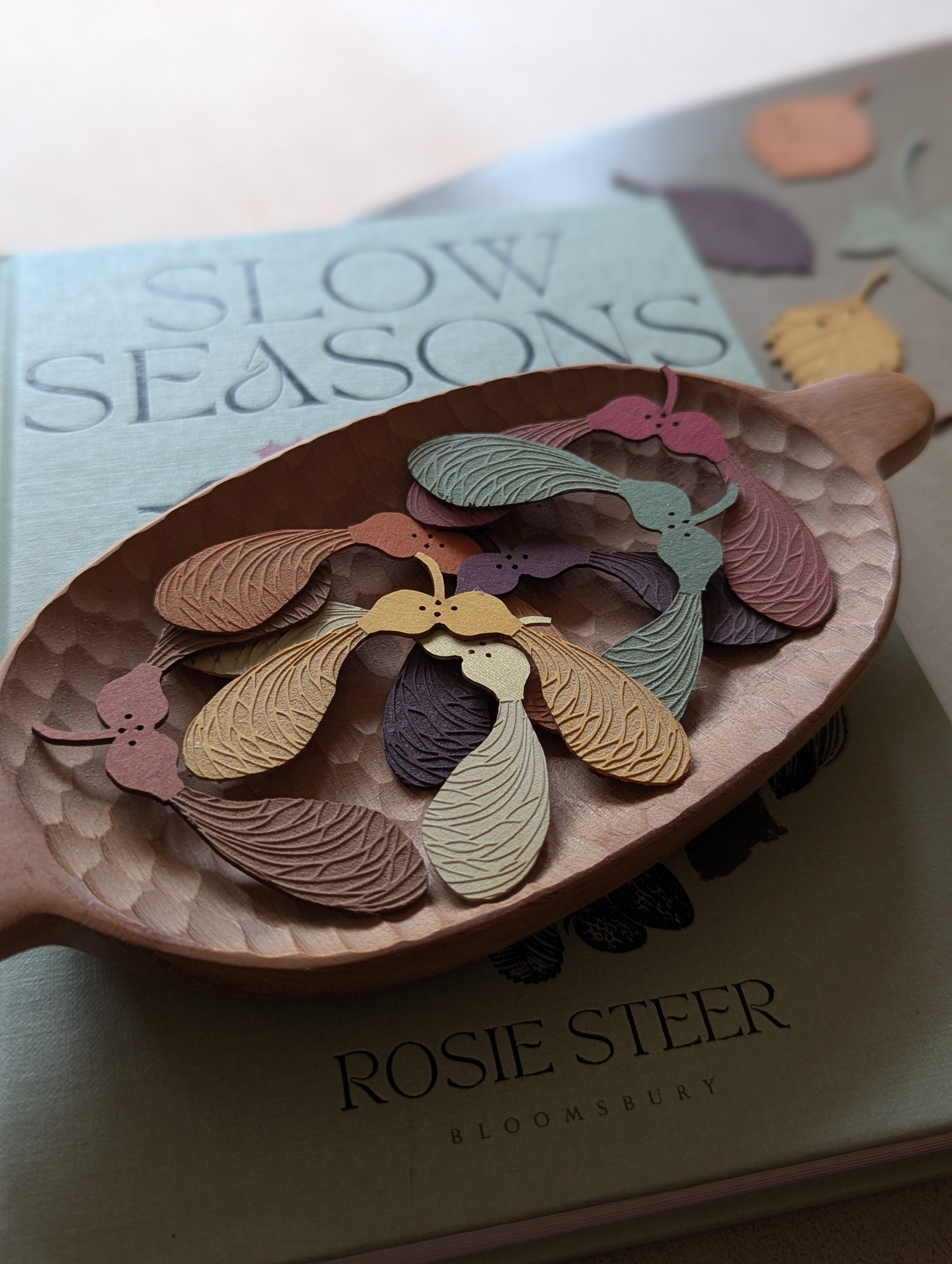 A set of sycamore seeds