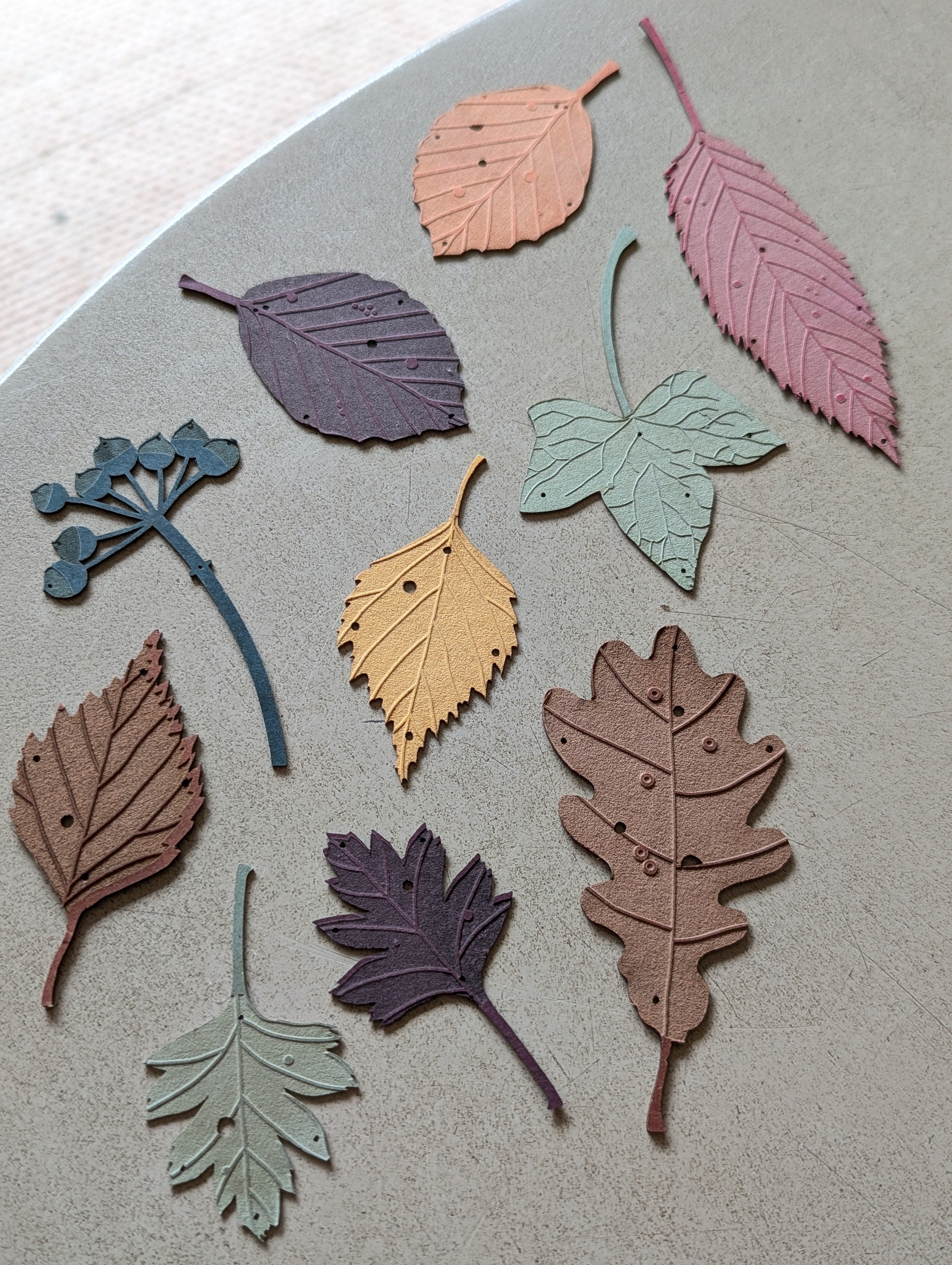 A set of autumn leaves