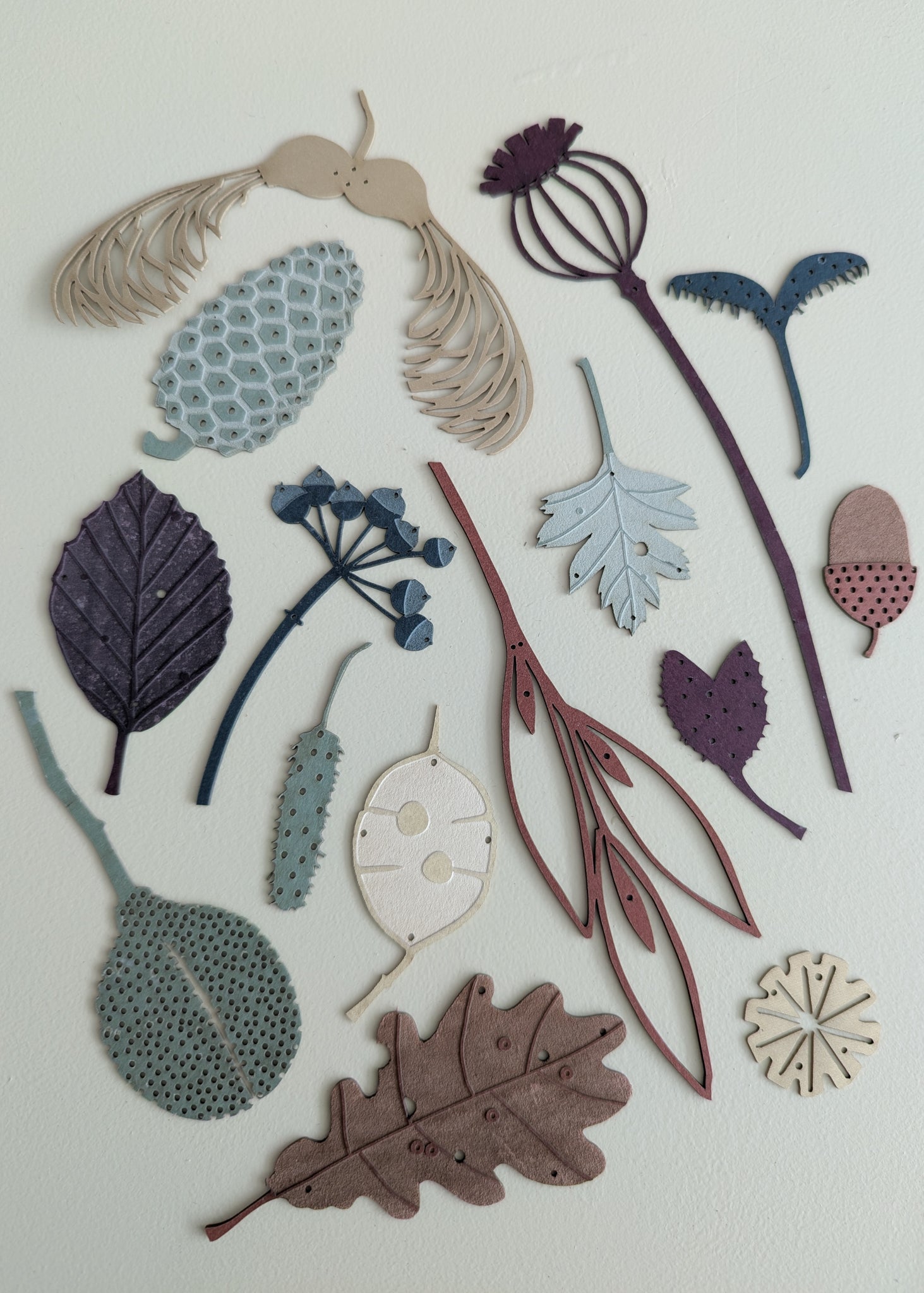 autumn treasures and leaves