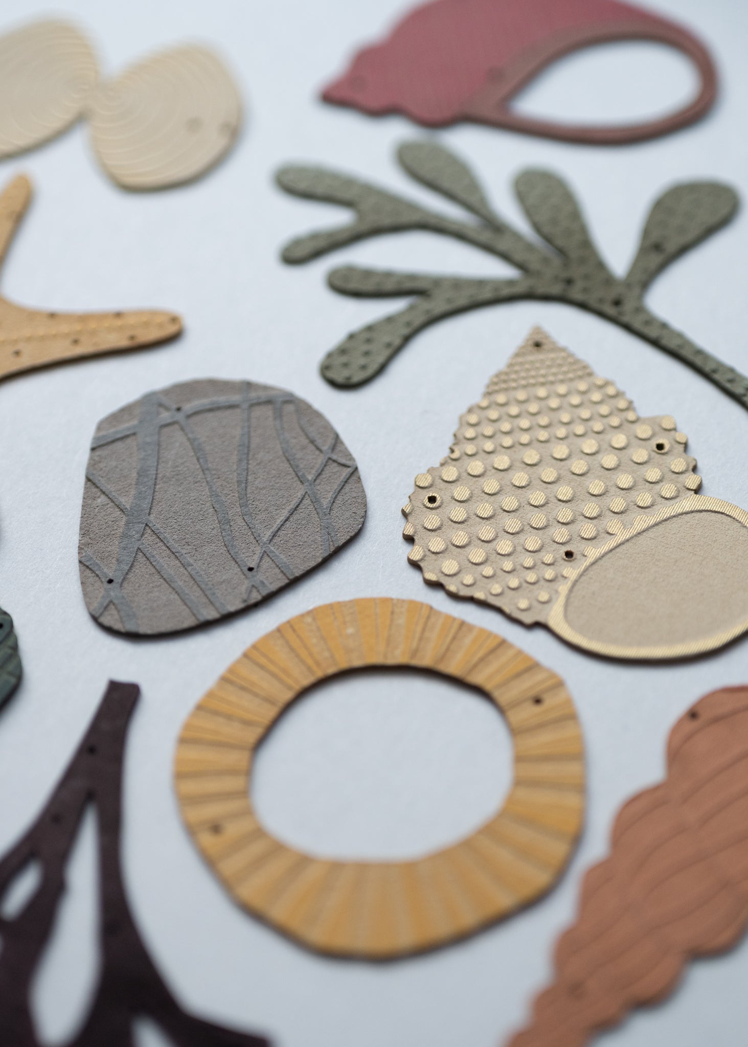 a collection of seashells and beach treasures