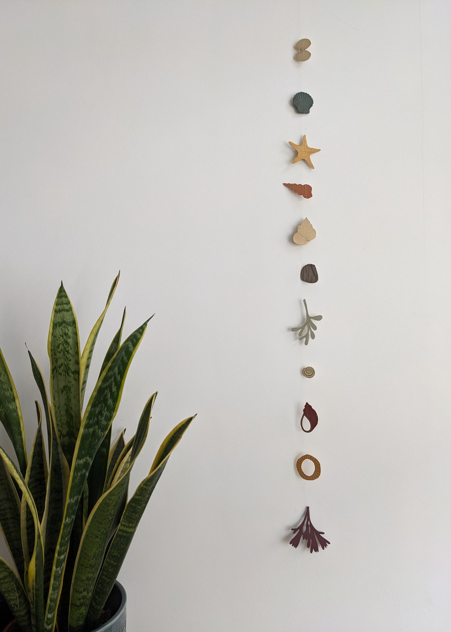 a collection of seashells and beach treasures