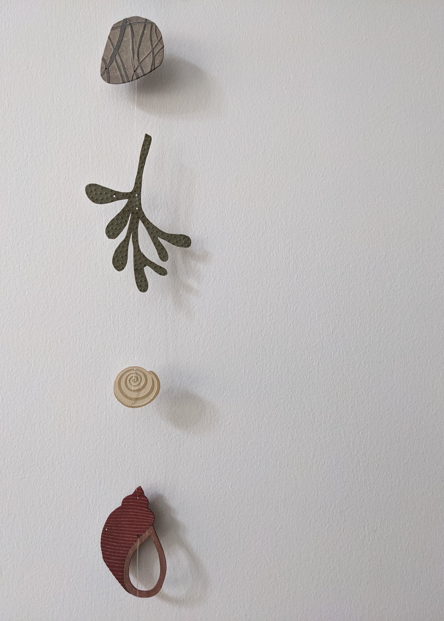 a collection of seashells and beach treasures