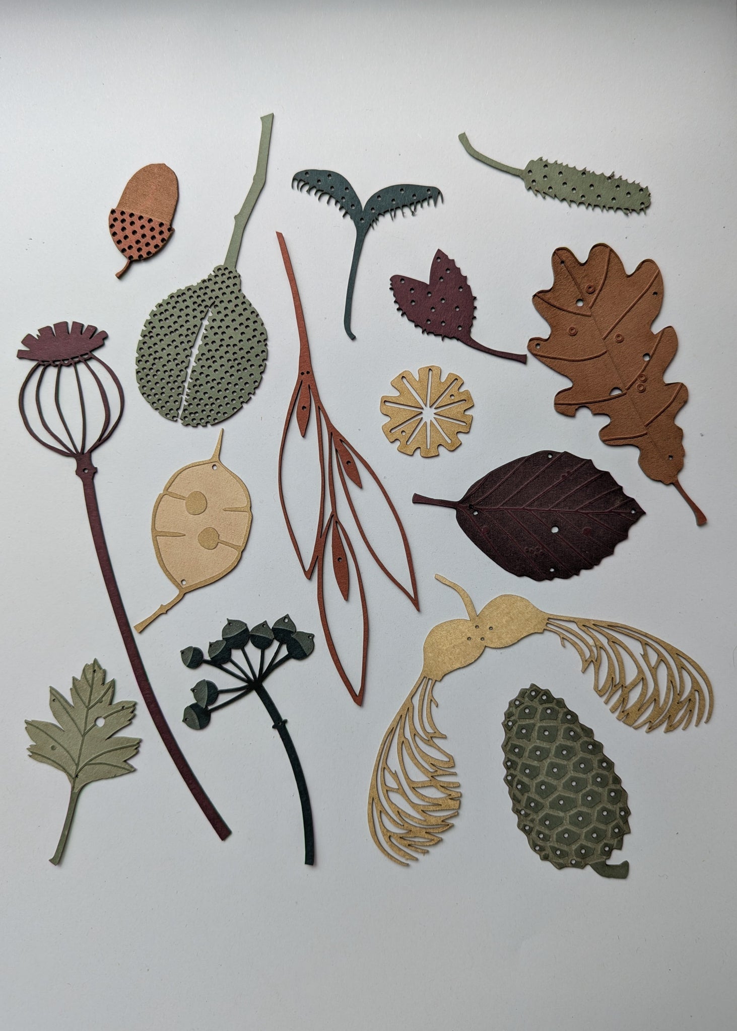 autumn treasures and leaves