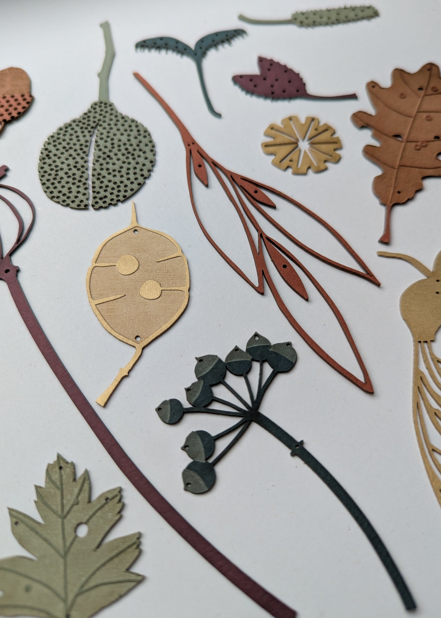 autumn treasures and leaves