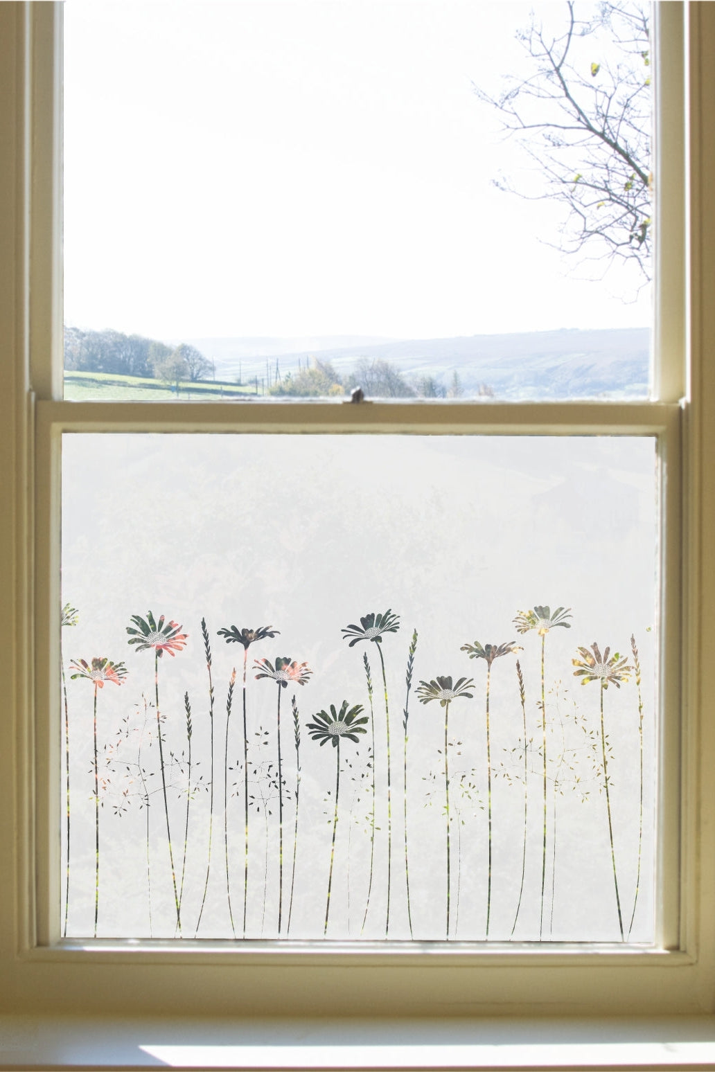 Daisy Meadow's Edge Window Film