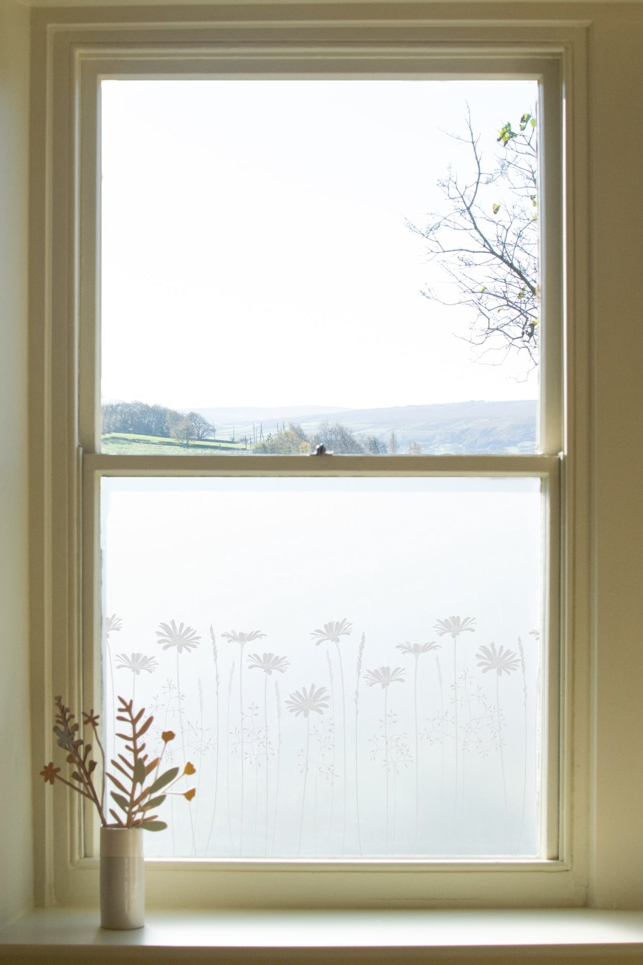 Daisy Meadow's Edge Window Film