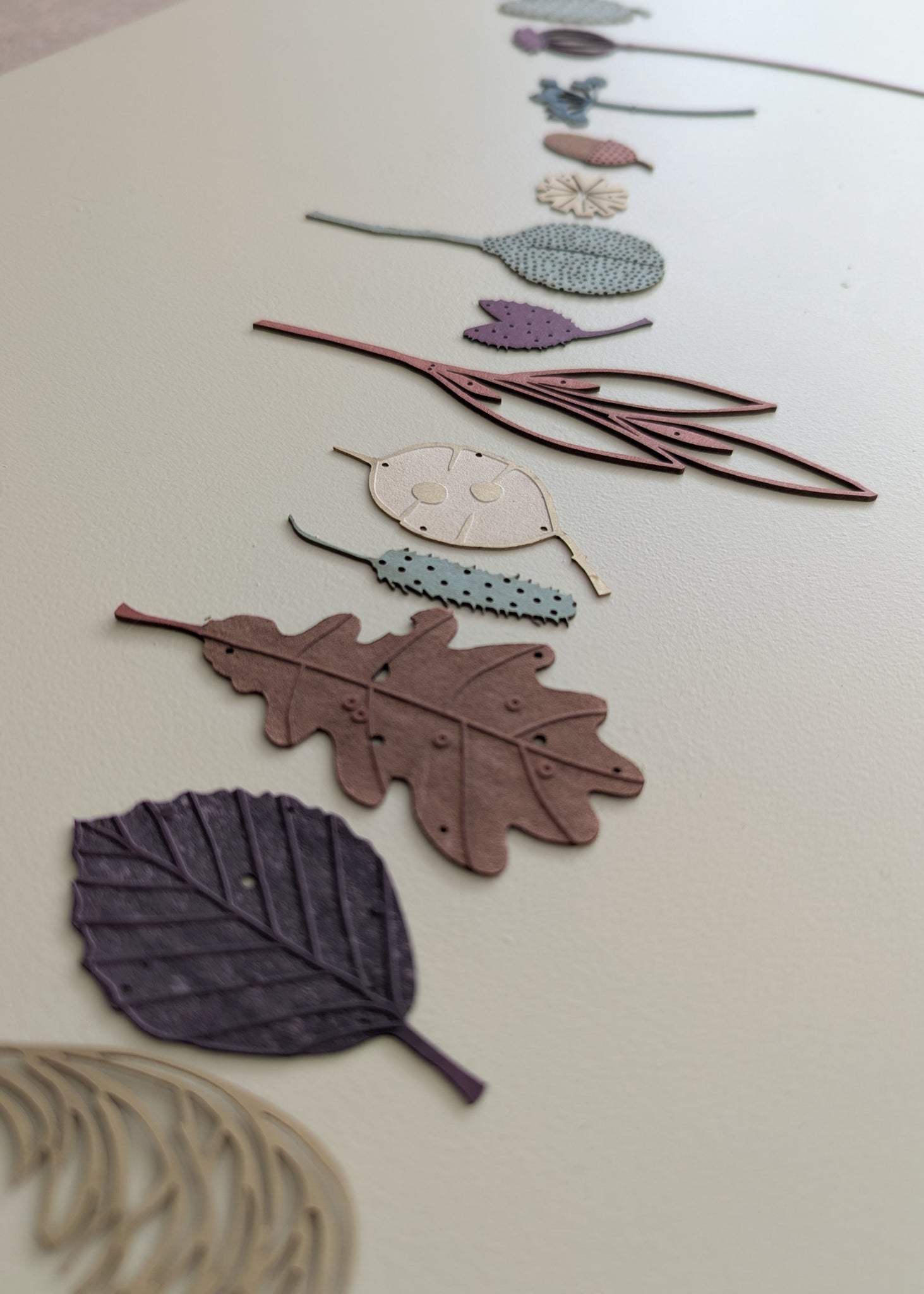 autumn treasures and leaves