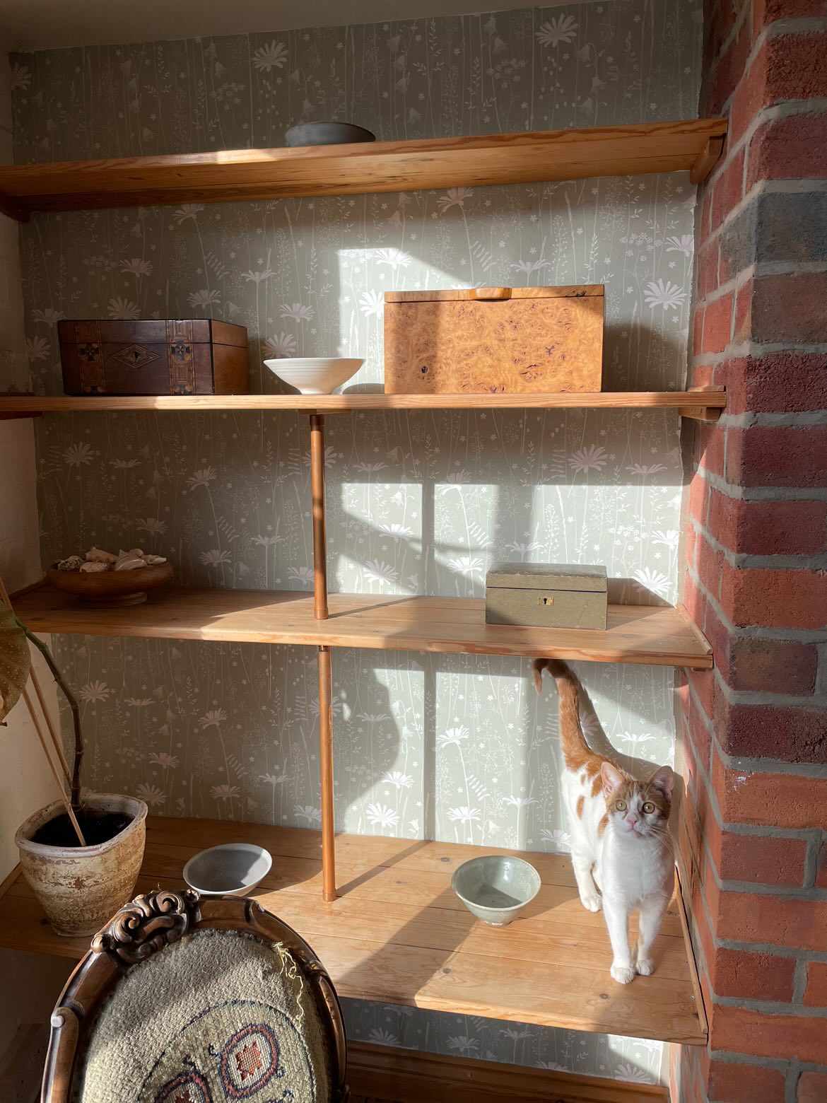 Daisy Meadow Wallpaper in Sage