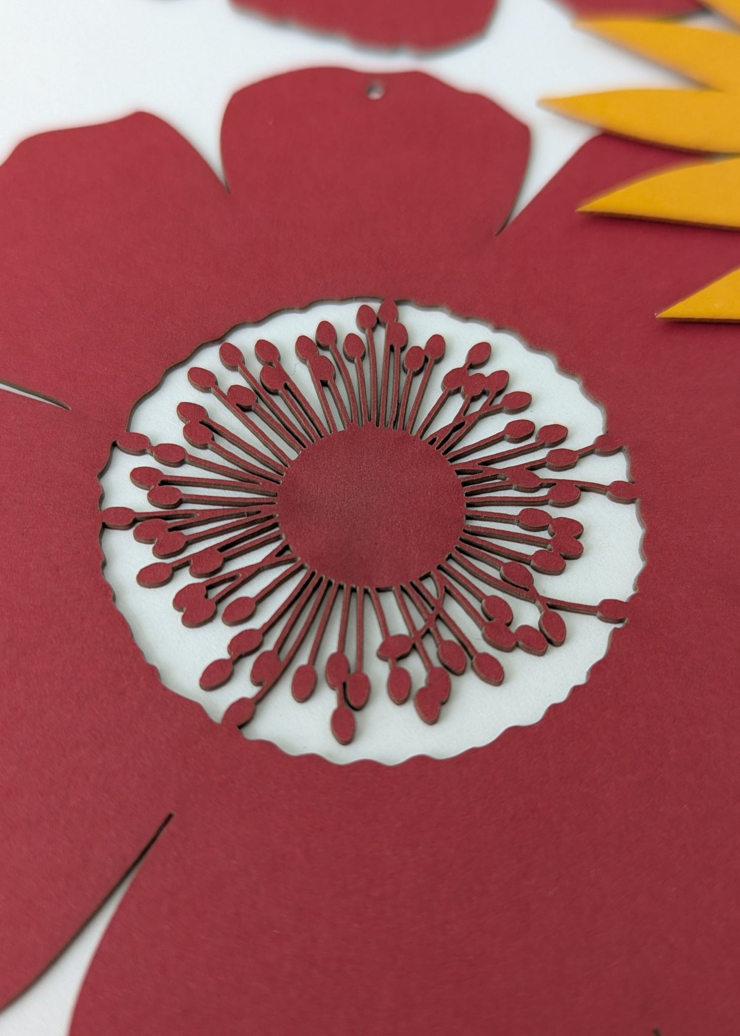 A Poppy Anemone for Palestine