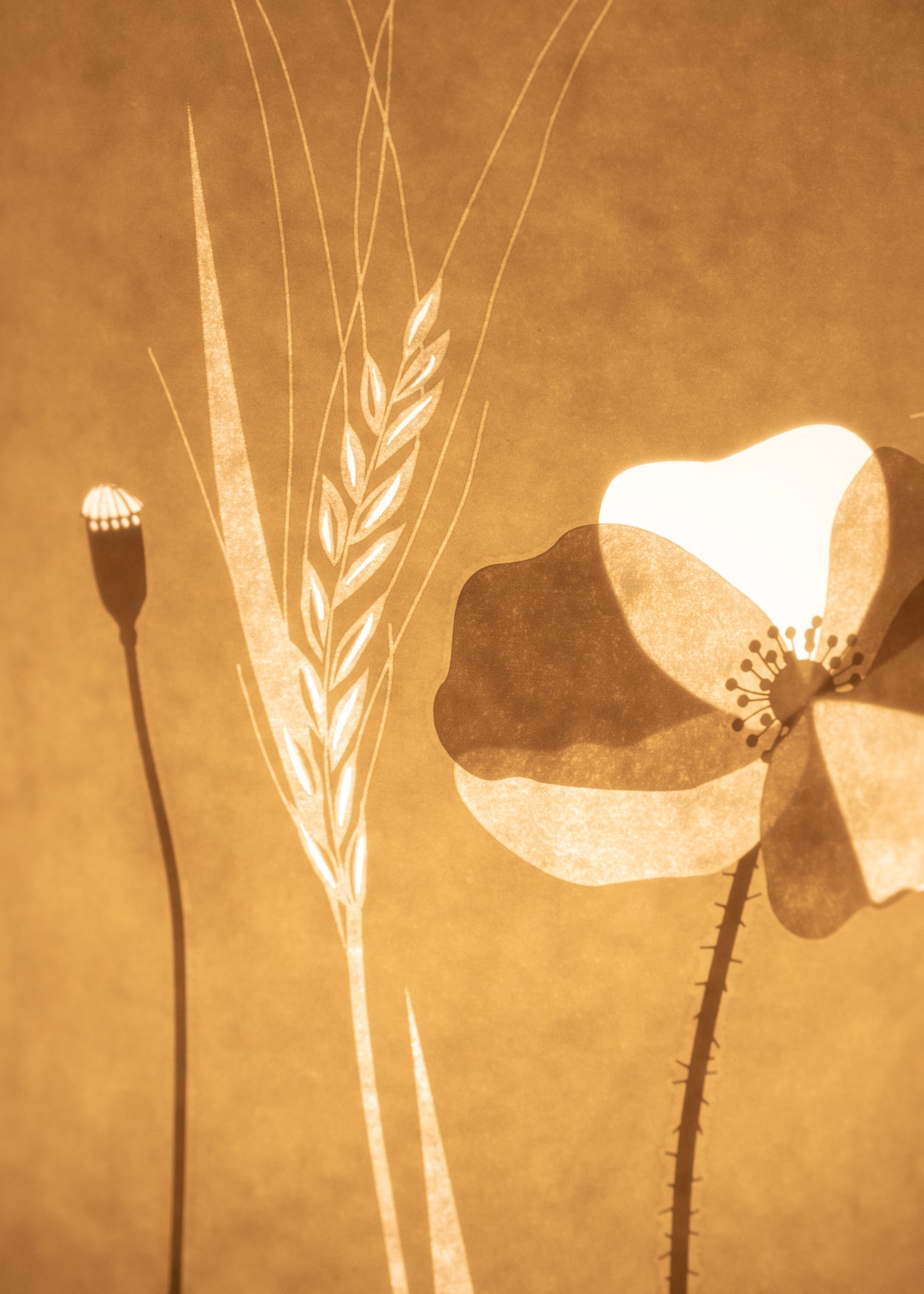 Large Field Poppy Table Lamp