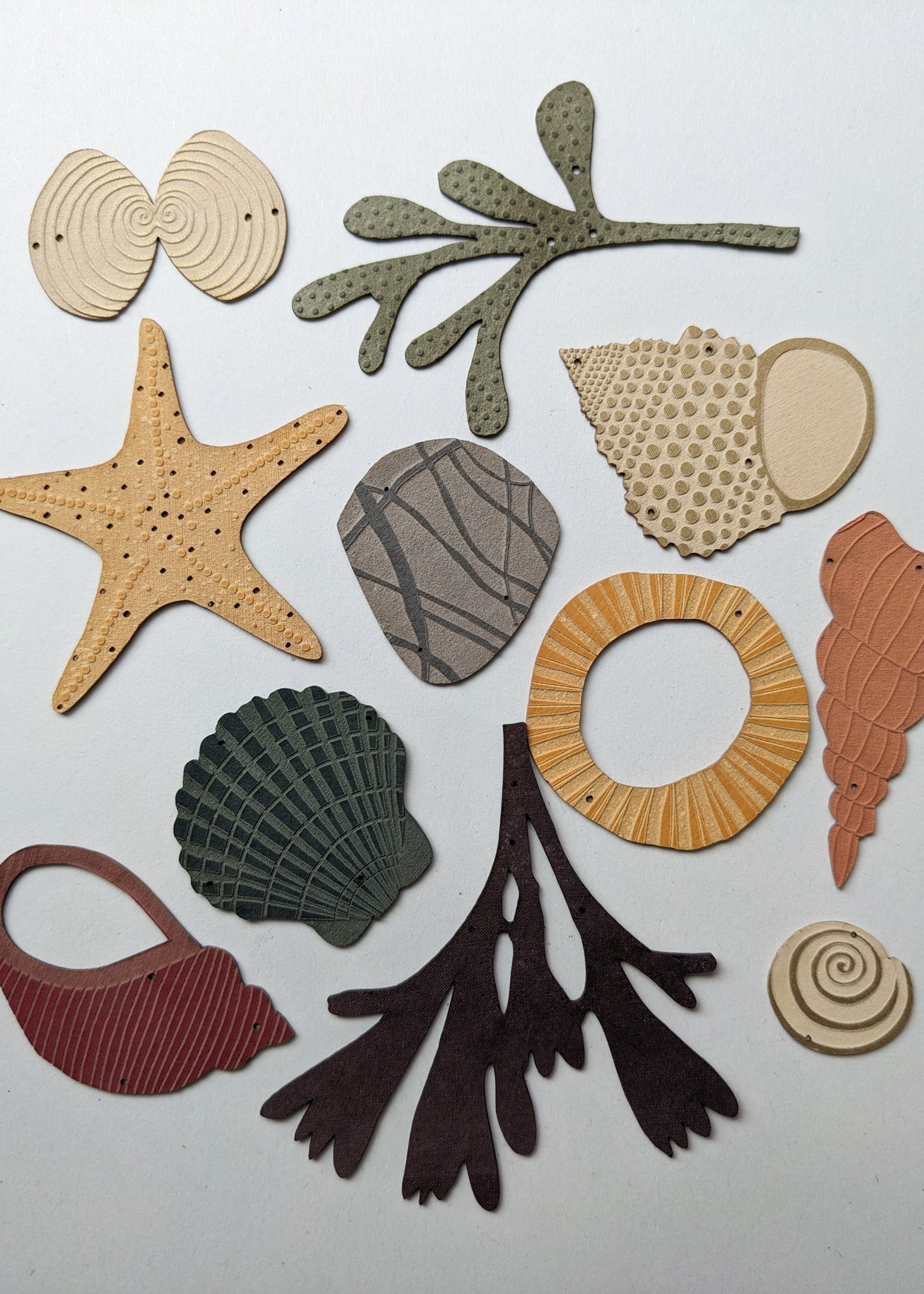 a collection of seashells and beach treasures