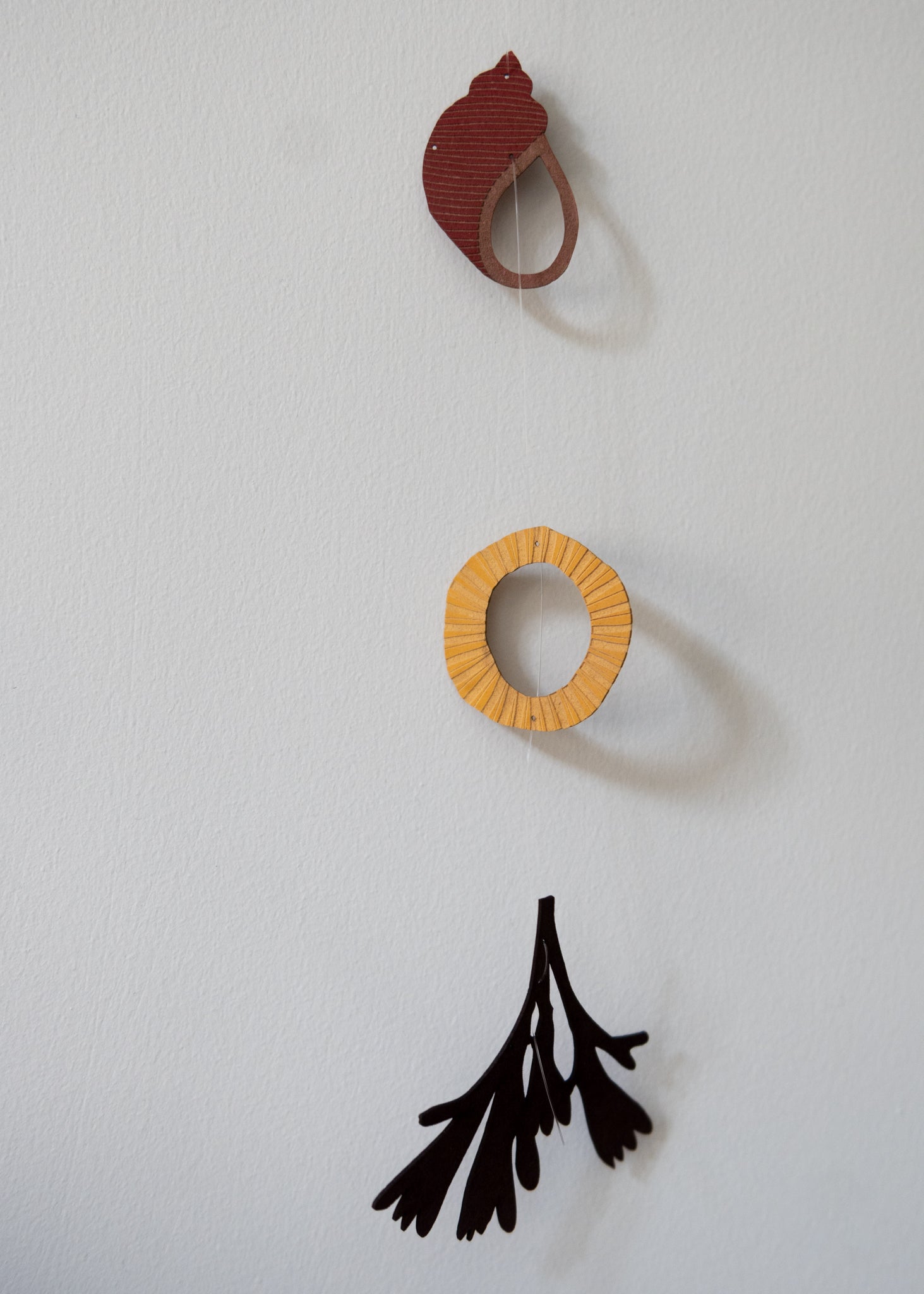 a collection of seashells and beach treasures