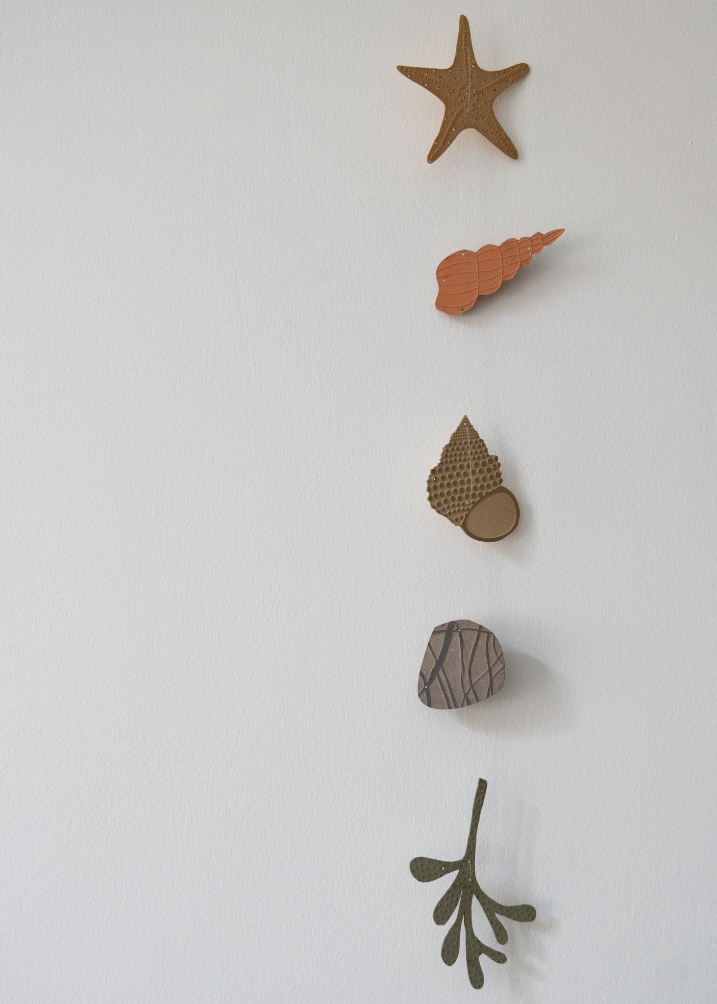 a collection of seashells and beach treasures