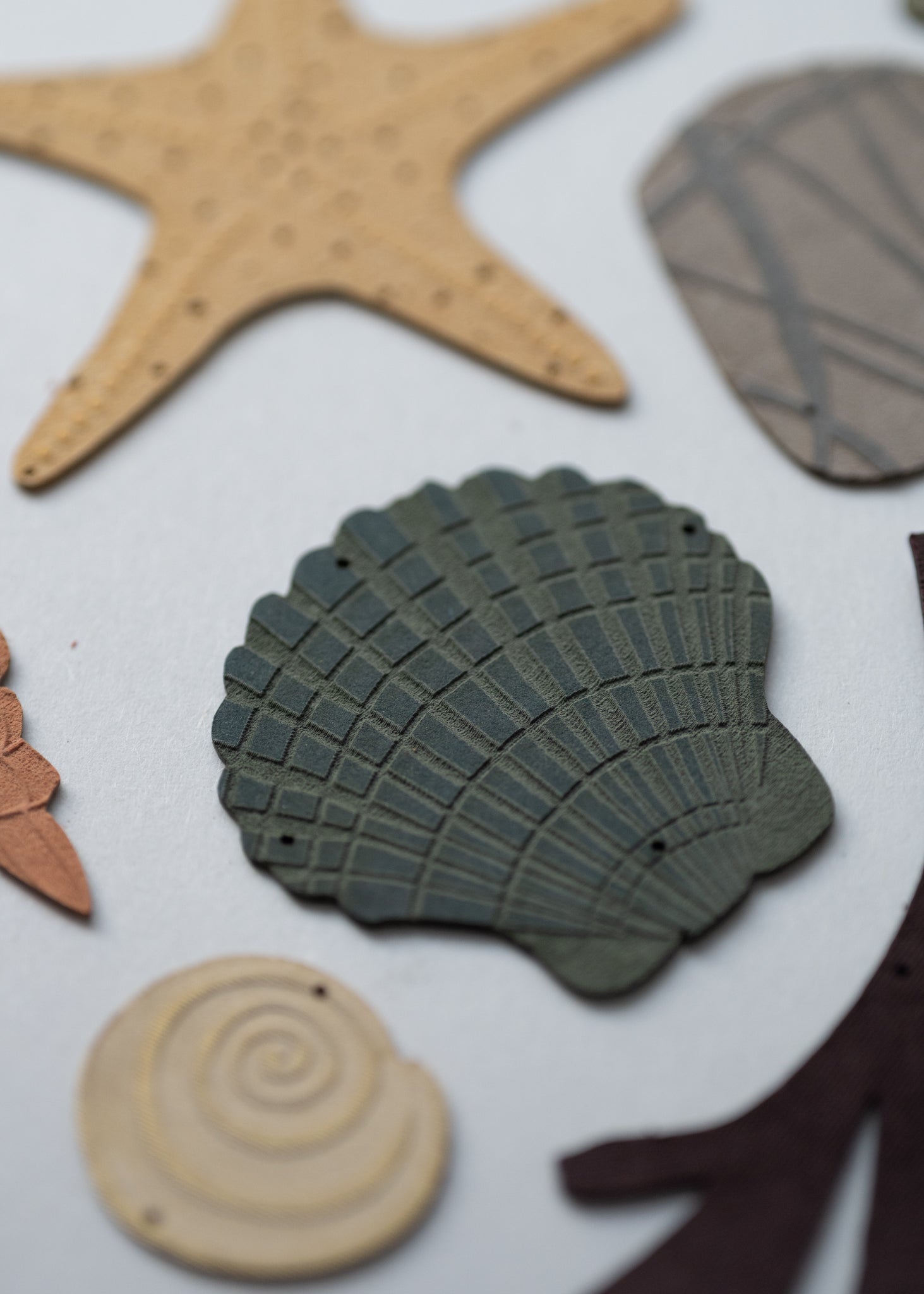 a collection of seashells and beach treasures